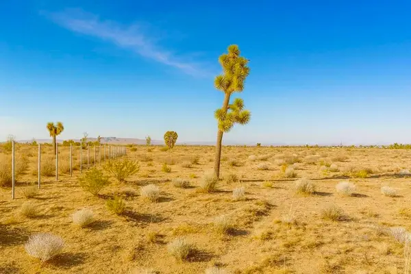 6982 South Street, Phelan, CA 92371