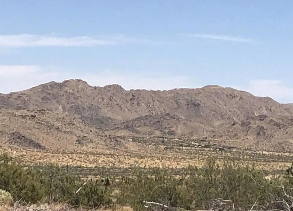 108 Granada Drive, Joshua Tree, CA 92252 - #1