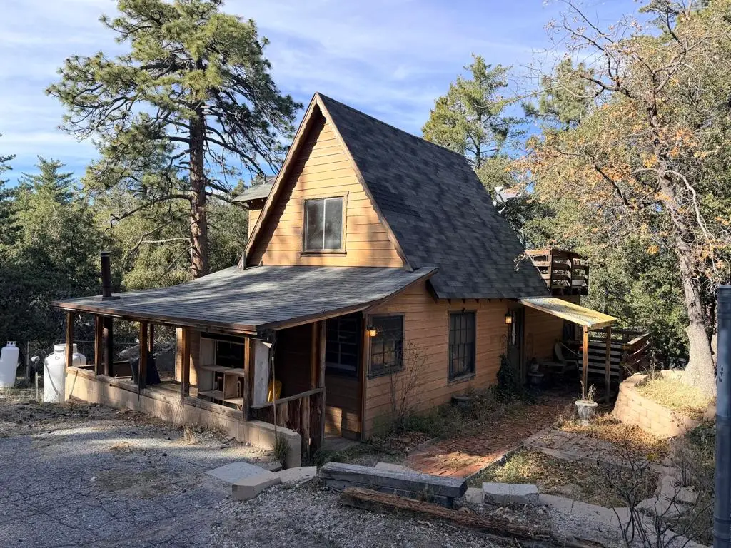 25265 Marion Ridge Drive, Idyllwild, CA 92549 - #1