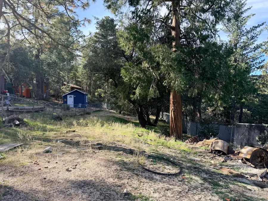 25265 Marion Ridge Drive, Idyllwild, CA 92549 - #3