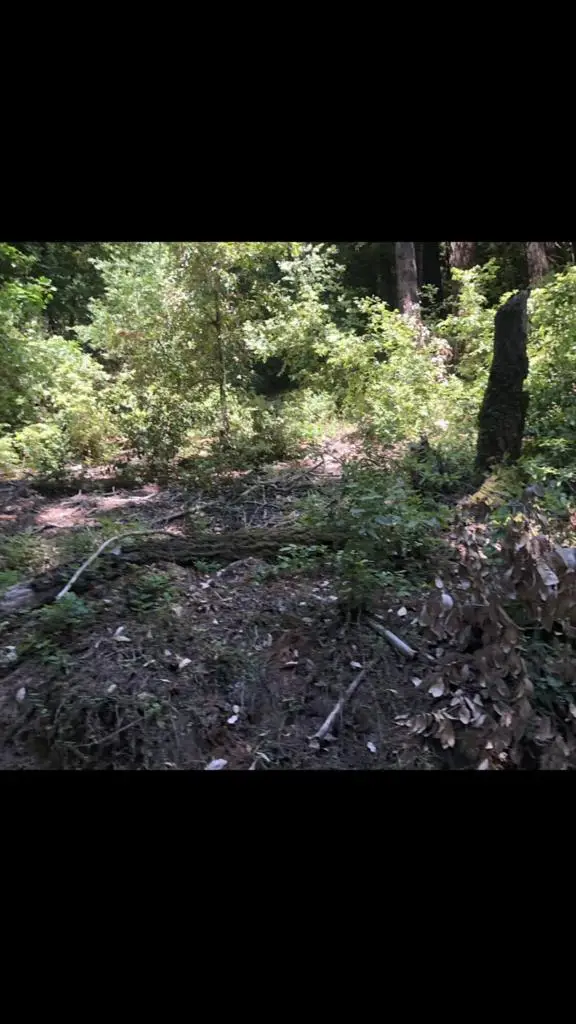 0 Visitar Street, Scotts Valley, CA 95066 - #3