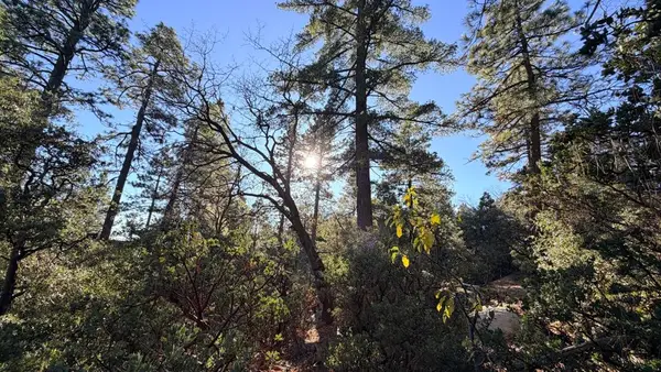 53040 Starlite Lane, Idyllwild, CA 92549