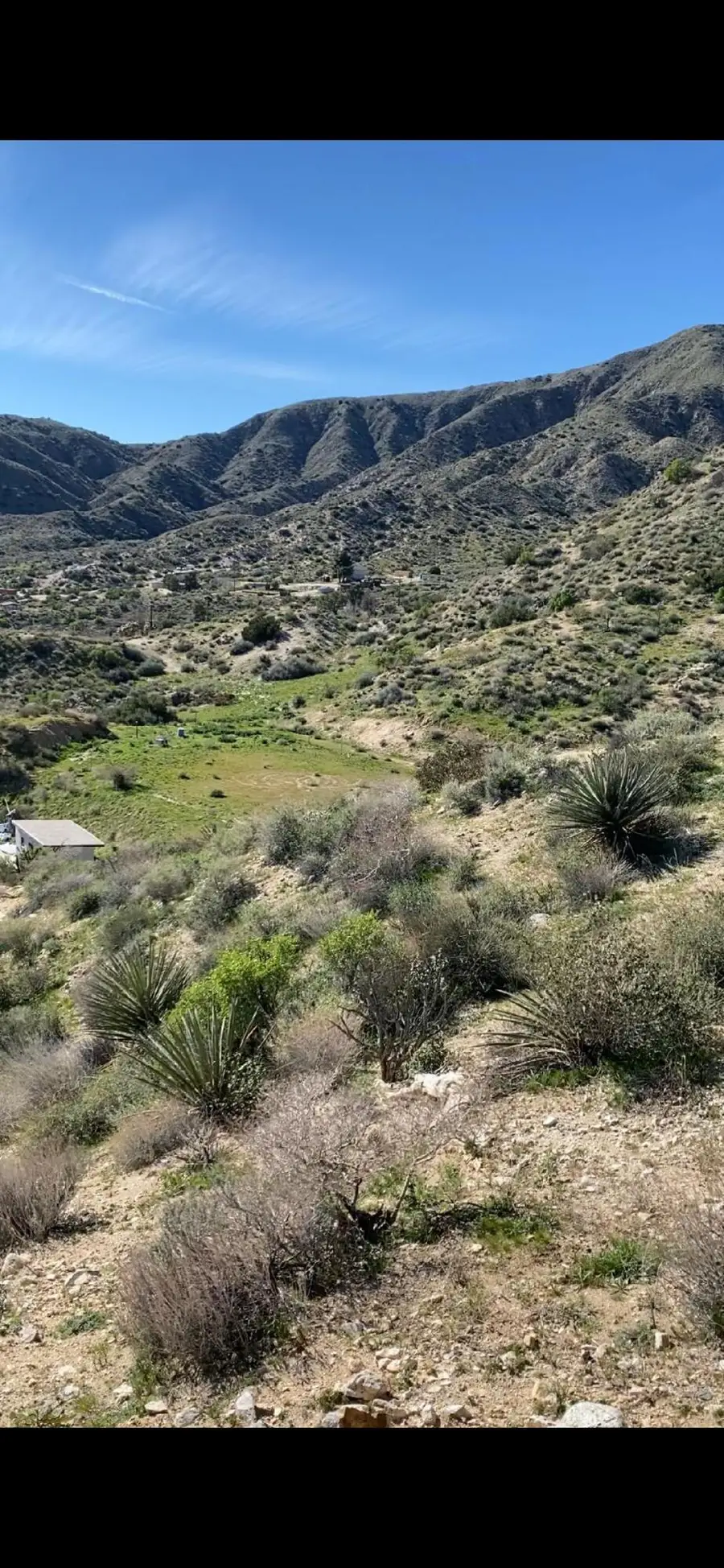 Pine Ave Pine, Morongo Valley, CA 92256 - Image #3