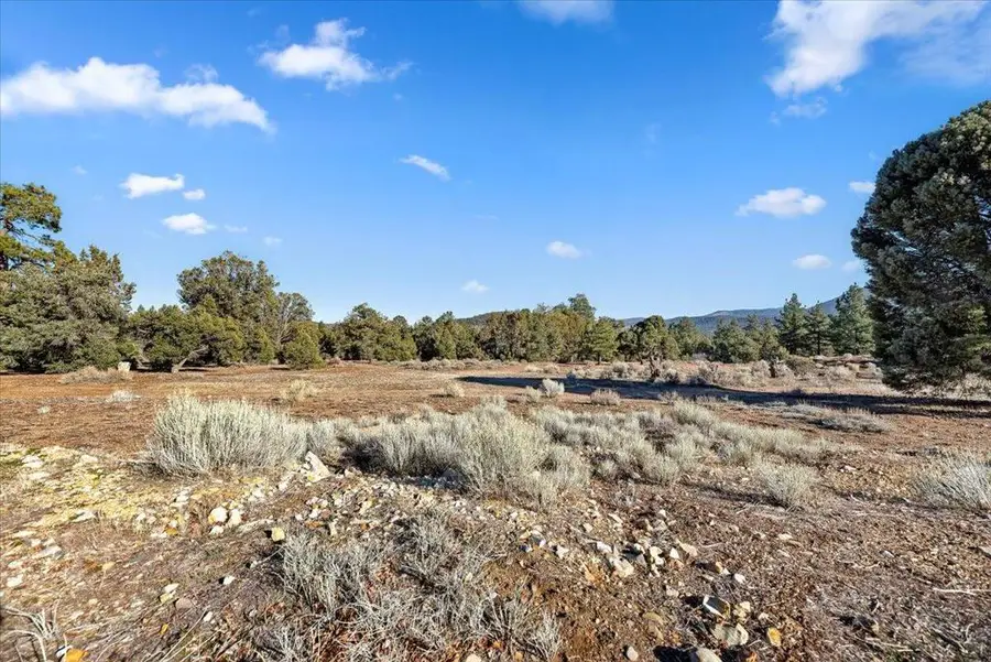 329 Pine Lane, Big Bear City, CA 92314 - Image #3