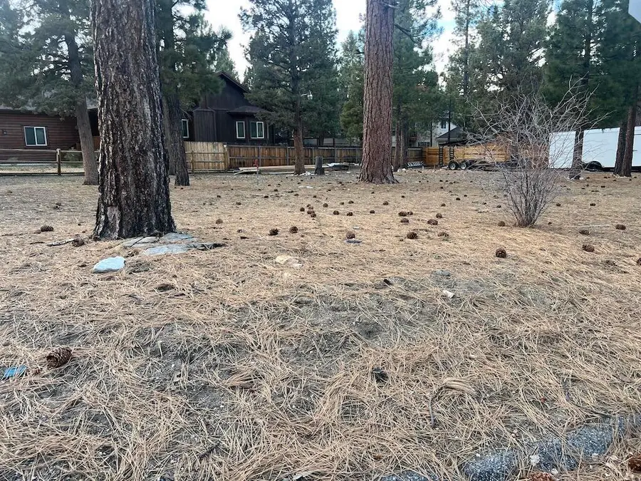 449 Country Club Boulevard, Big Bear City, CA 92314 - Image #2