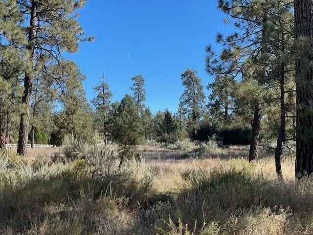 Lot 18 Pyramid Peak Road, Mountain Center, CA 92561 - #2