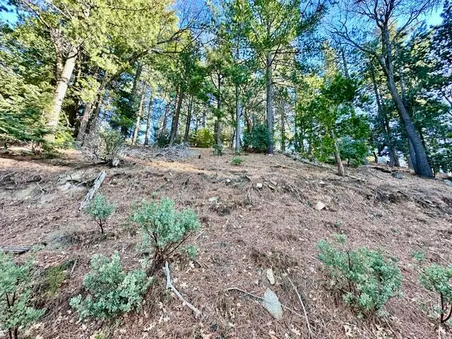 0 Green Craig, Idyllwild, CA 92549 - #3