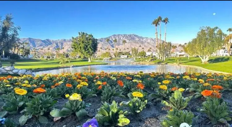 69411 Ramon Road #372, Cathedral City, CA 92234 - #1