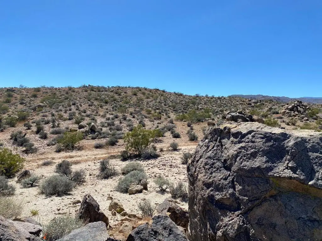 5168 Lazy Lane, Johnson Valley, CA 92285 - #1