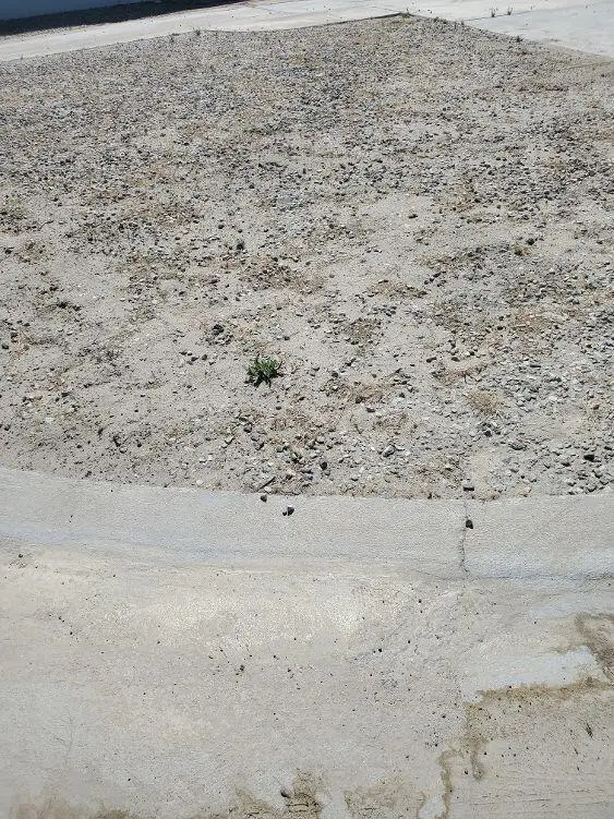 84250 Indio Springs Drive #456, Indio, CA 92203 - #3