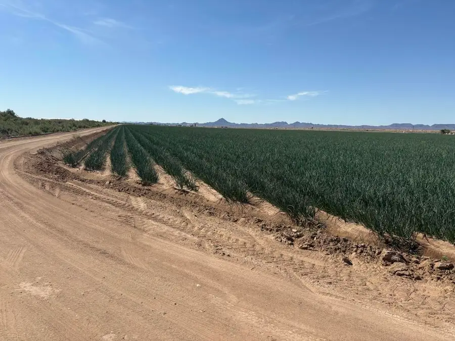 187 Water Toll Acres On Ben Hulse Highway, Blythe, CA 92225 - #2