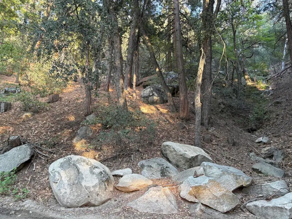 0 Tahquitz View Drive, Idyllwild, CA 92549 - #1