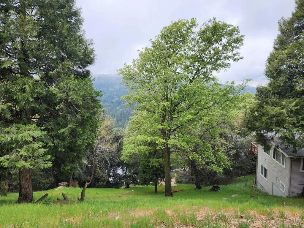 0 Basel Drive, Crestline, CA 92325 - #1