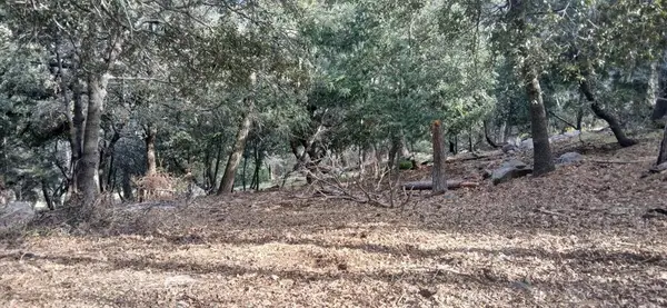 0 Alder Creek Road, Crestline, CA 92325