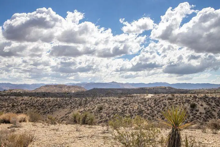 57352 Sunflower Drive, Yucca Valley, CA 92284 - #1