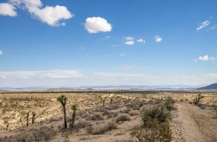 57352 Sunflower Drive, Yucca Valley, CA 92284 - #3