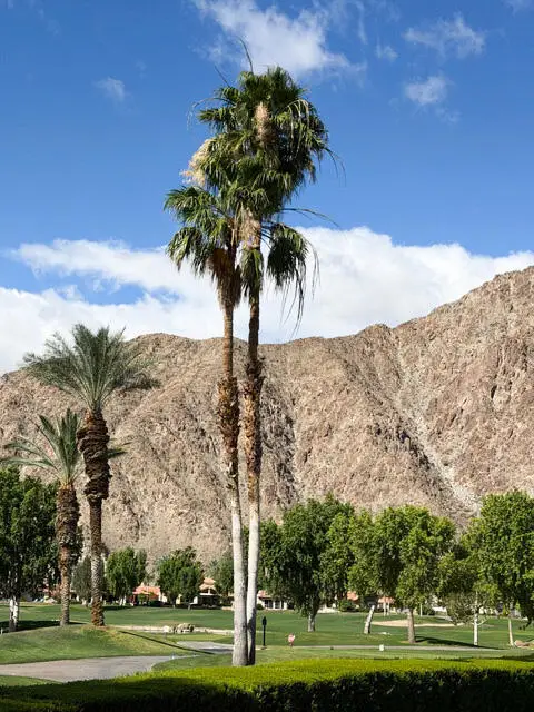 54048 Riviera, La Quinta, CA 92253 - #2