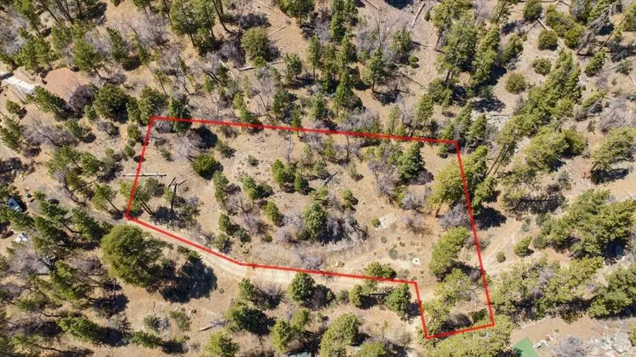 1286 Canyon Road, Fawnskin, CA 92333 - #2