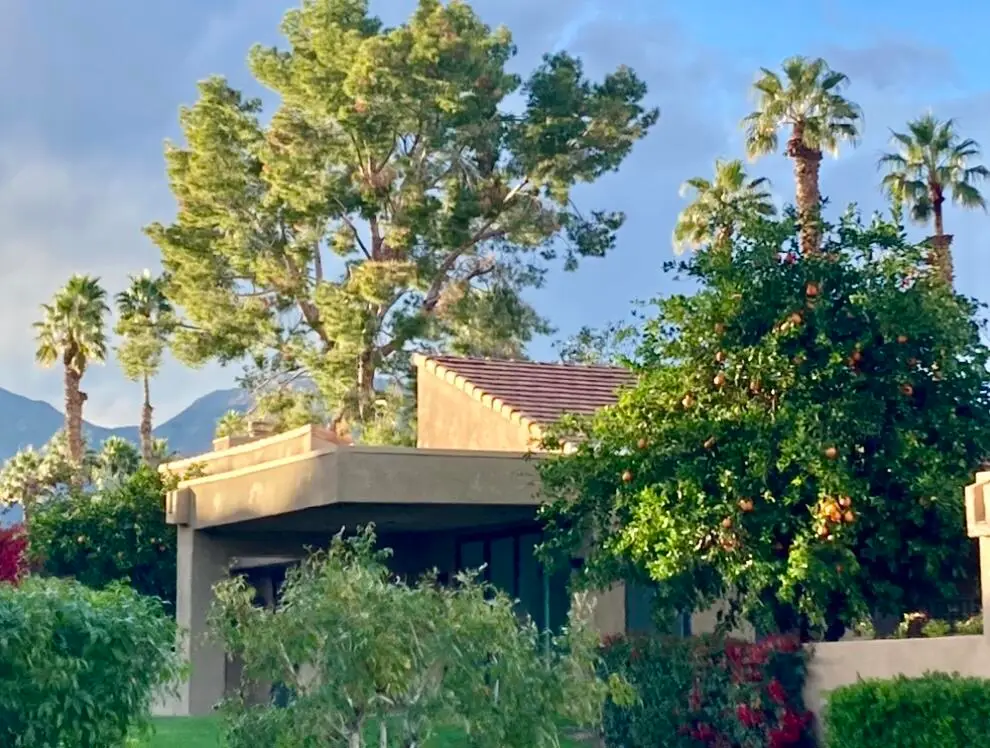 73323 Boxthorn Lane, Palm Desert, CA 92260 - #1