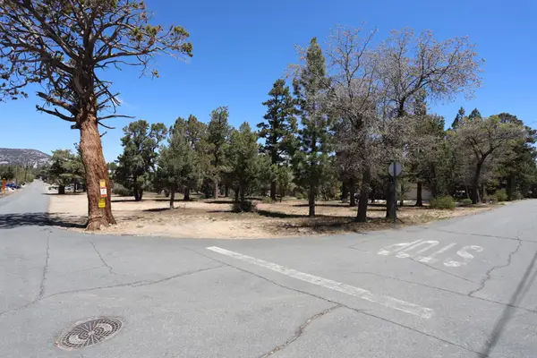 0 Dixie Lee, Sugarloaf, CA 92386