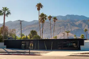 697 N Farrell Drive, Palm Springs, CA 92262 - #1