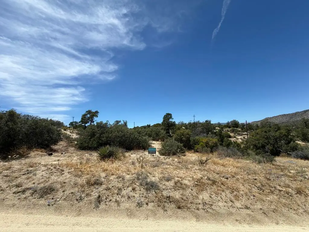 Lot 104 Scenic Drive, Mountain Center, CA 92561 - #1
