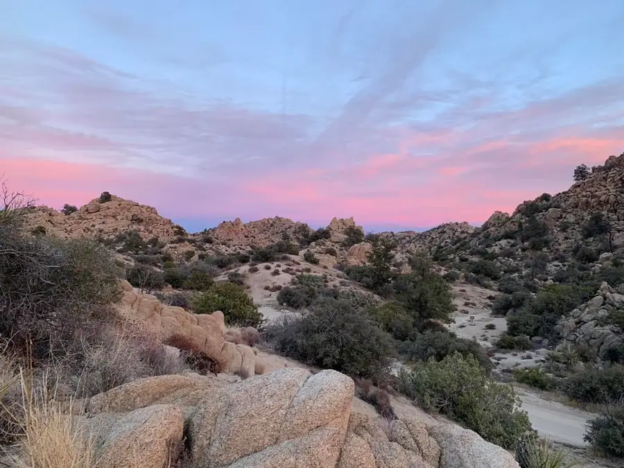 5850 Cactus Canyon Trail, Yucca Valley, CA 92284 - #2