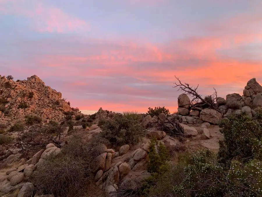 5850 Cactus Canyon Trail, Yucca Valley, CA 92284 - #3