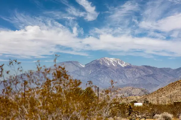 407 California Avenue, Joshua Tree, CA 92252