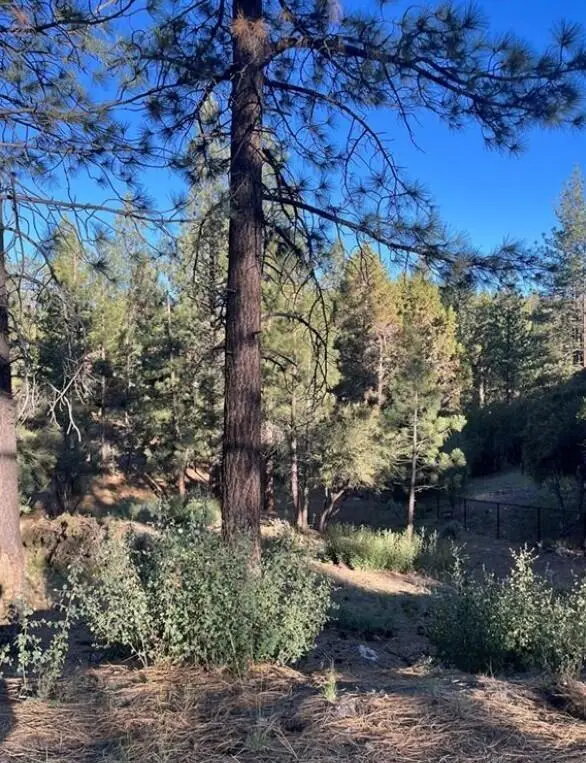 545 Division Drive, Big Bear, CA 92314 - #1