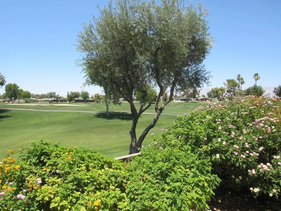 38435 Fawn Springs, Palm Desert, CA 92260 - #3