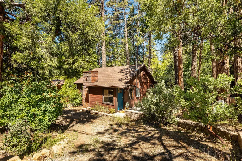54970 Daryll Road, Idyllwild, CA 92549 - #1