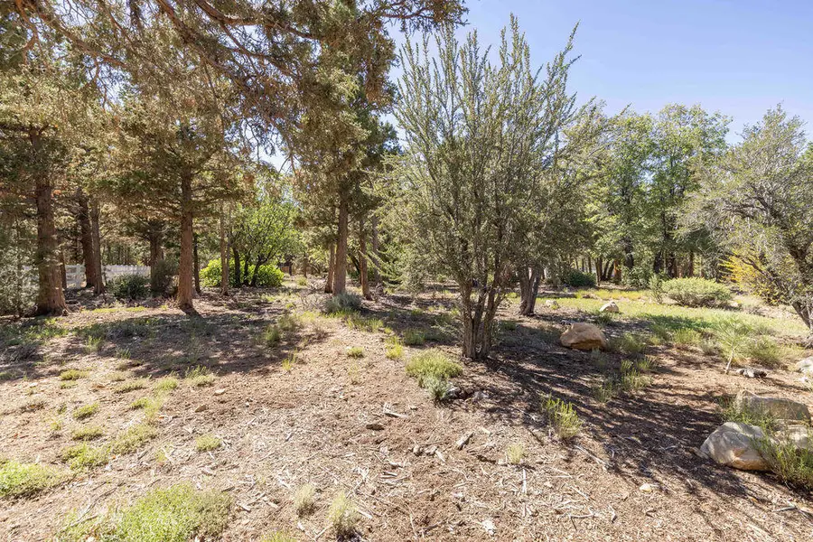 655 Cedar Glen Drive, Big Bear City, CA 92314 - #2