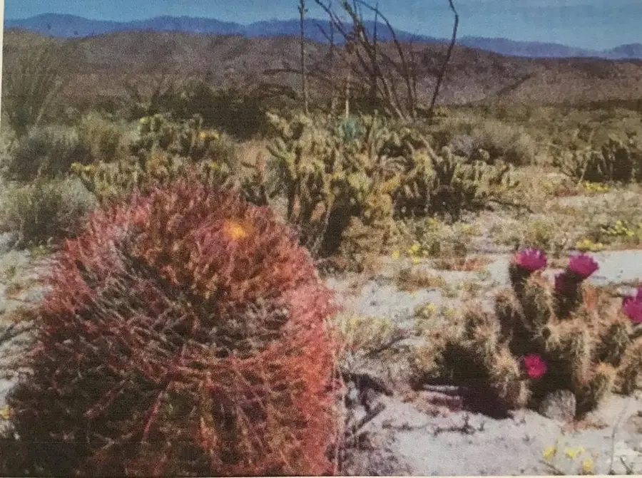 5 Ac W Of Polk St, Indio, CA 92201 - #2