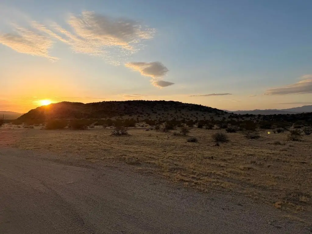 11 Saddle Rock Way, Johnson Valley, CA 92285 - #1