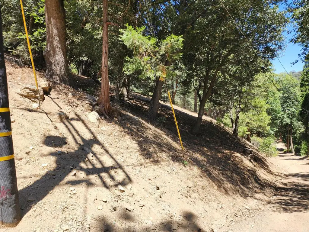 0 Burnt Mill Canyon Road, Cedarpines Park, CA 92322 - #1