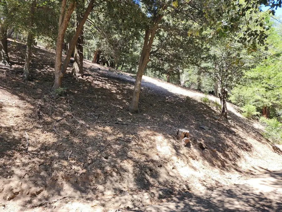 0 Burnt Mill Canyon Road, Cedarpines Park, CA 92322 - #2