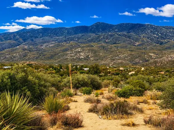 214 Chalet Drive, Mountain Center, CA 92561