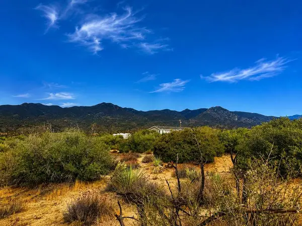 217 Chalet Drive, Mountain Center, CA 92561