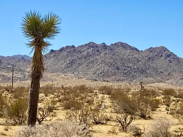 109 Border Avenue, Joshua Tree, CA 92252