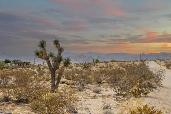 62121 Aberdeen Drive, Joshua Tree, CA 92252