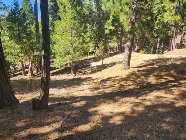 0 Grass Valley, Lake Arrowhead, CA 92352