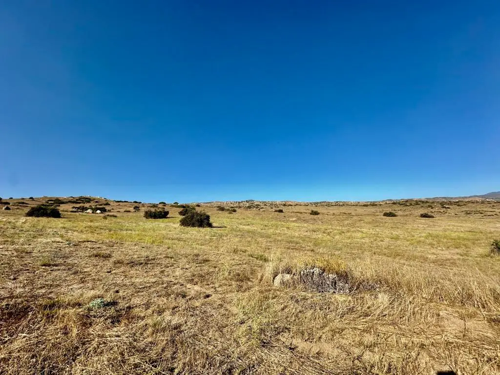 41300 Jojoba Hills Circle, Aguanga, CA 92536 - #1