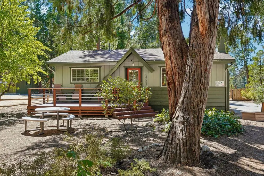 54007 Riverside County Playground Road, Idyllwild, CA 92549 - #1