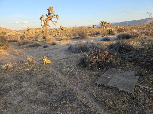 20 Yucca Mesa Road, Yucca Valley, CA 92284