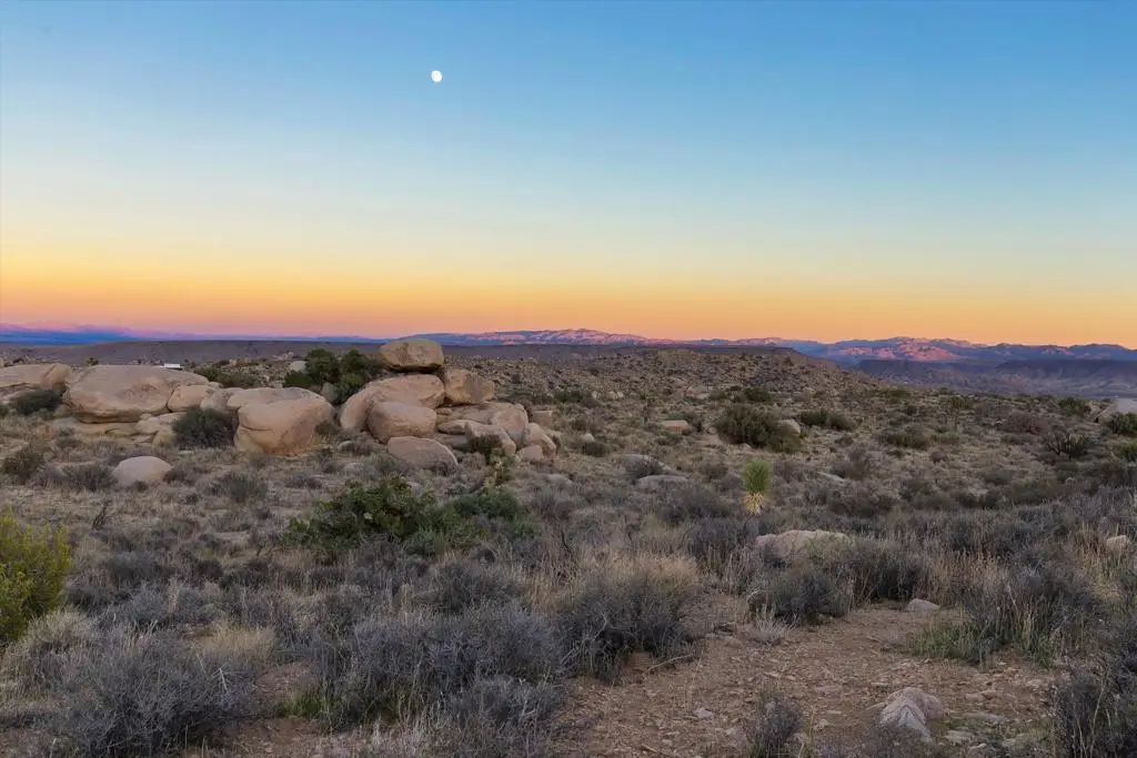 1 Dragonfly Lane, Pioneertown, CA 92268 - #1