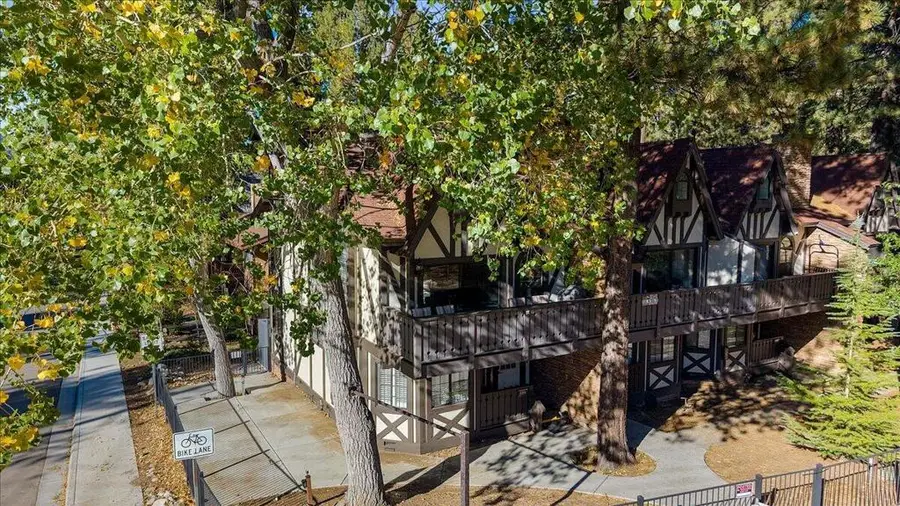 41896 Switzerland Drive #1, Big Bear, CA 92315 - #3