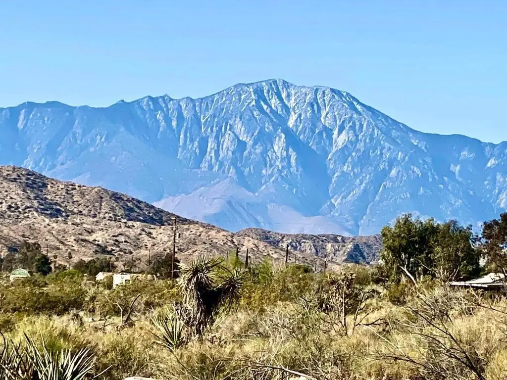 135 Bardell Road, Morongo Valley, CA 92256 - #1