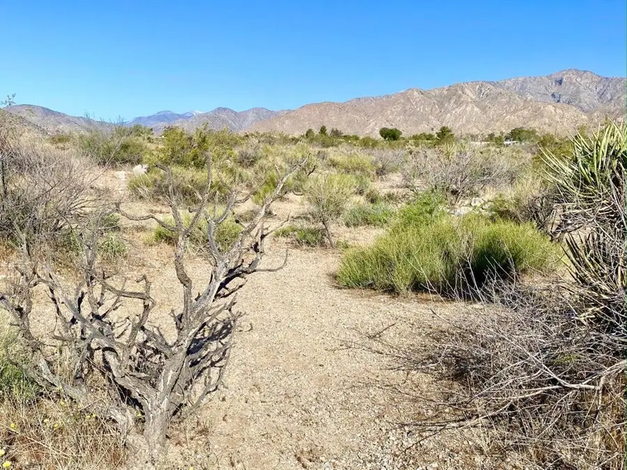 135 Bardell Road, Morongo Valley, CA 92256 - #3