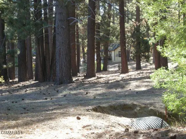 776 Knickerbocker Road, Big Bear, CA 92315 - Image #3